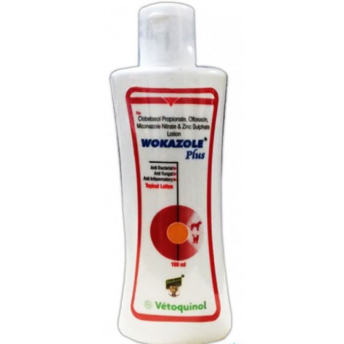 Wokazole Plus Lotion 100 gm Buy Wokazole Plus Lotion 100 gm